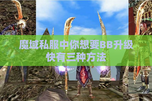 魔域私服中你想要BB升级快有三种方法