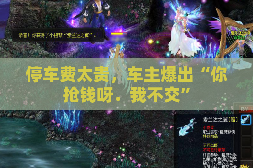 停车费太贵,车主爆出“你抢钱呀.我不交” 停车费太贵,车主爆出“你抢钱呀.我不交”
