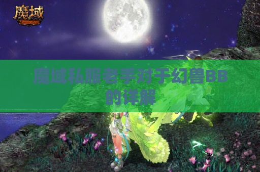 魔域私服老手对于幻兽BB的详解