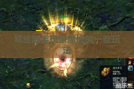 写给新手玩家魔域的一些玩法