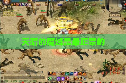 天晴的魔域是最正宗的 天晴的魔域是最正宗的