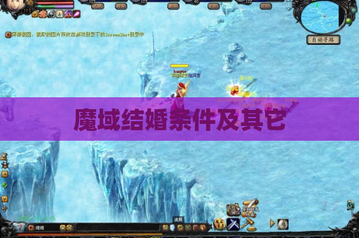 魔域结婚条件及其它 魔域结婚条件及其它