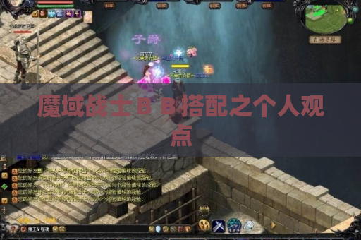 魔域战士BB搭配之个人观点 魔域战士BB搭配之个人观点