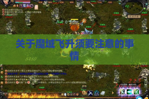 关于魔域飞升须要注意的事情 关于魔域飞升须要注意的事情