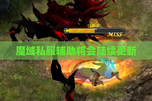 魔域私服辅助将会陆续更新 魔域私服辅助将会陆续更新