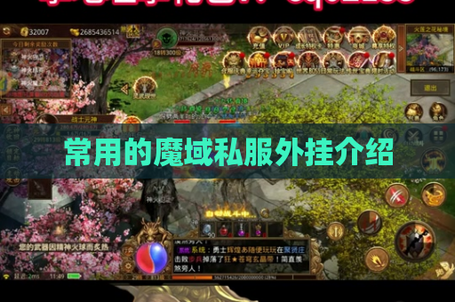 常用的魔域私服外挂介绍