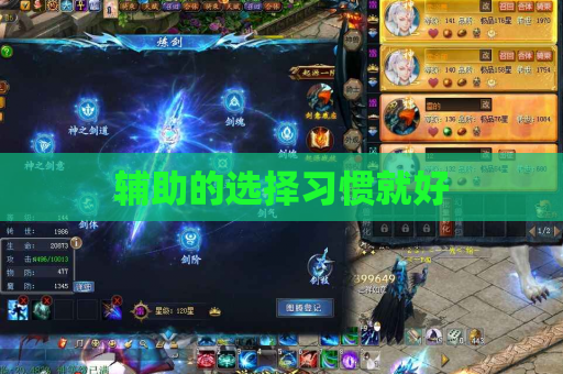 辅助的选择习惯就好
