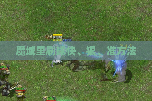 魔域里刷球快、狠、准方法 魔域里刷球快、狠、准方法