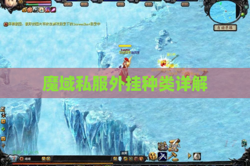 魔域私服外挂种类详解 魔域私服外挂种类详解