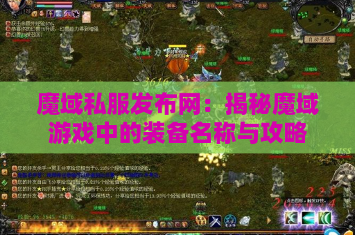 魔域私服发布网：揭秘魔域游戏中的装备名称与攻略