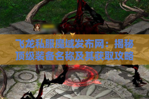 飞龙私服魔域发布网：揭秘顶级装备名称及其获取攻略
