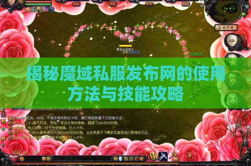 揭秘魔域私服发布网的使用方法与技能攻略